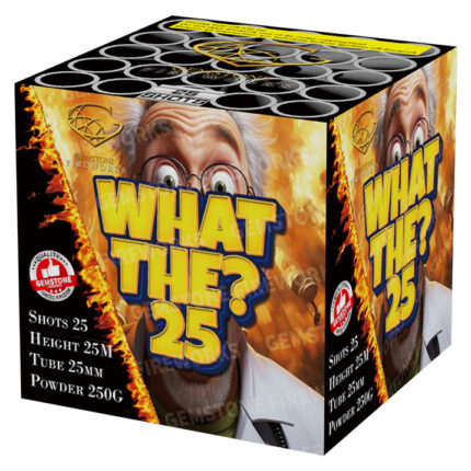 What The 25/25